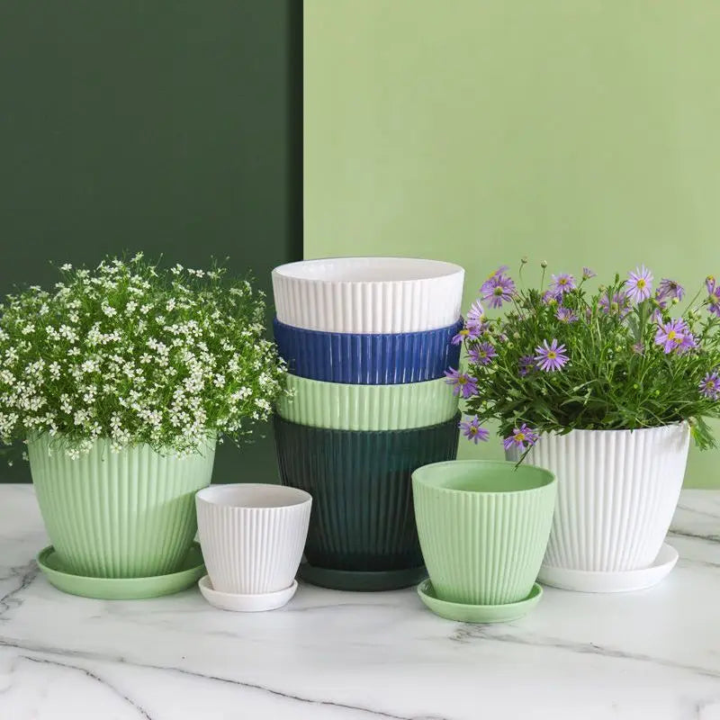 Maceta redonda para suculentas con bandeja, ideal para oficina, escritorio, balcón, hogar, jardín, decoración de exterior, 5 tamaños