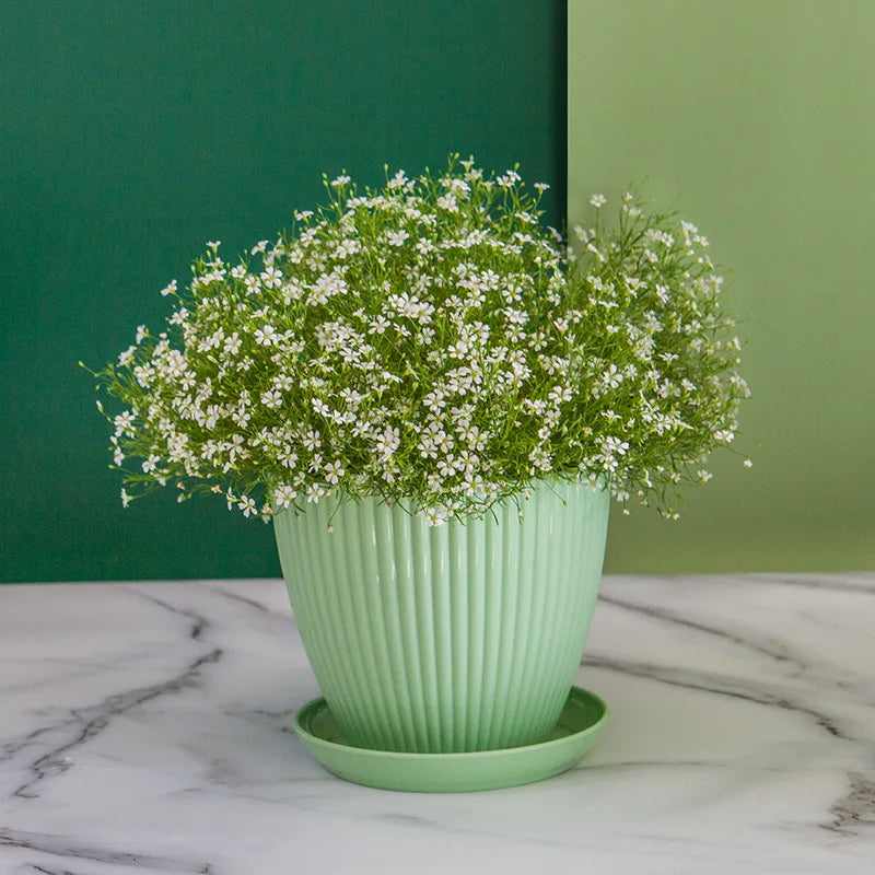 Maceta redonda para suculentas con bandeja, ideal para oficina, escritorio, balcón, hogar, jardín, decoración de exterior, 5 tamaños