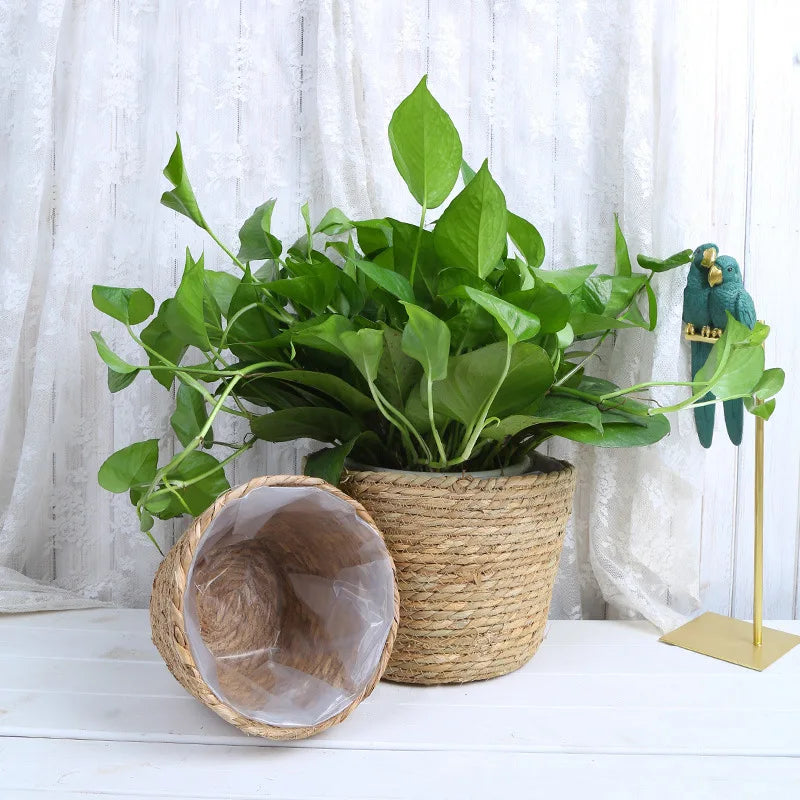 Maceta tejida de paja para plantas, cesta para macetas, cesta para macetas de interior y exterior, contenedor para plantas plantables 